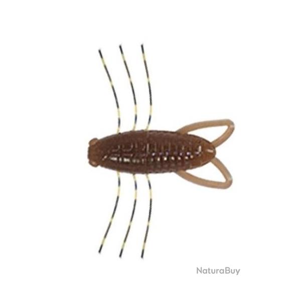 INSECTOR 1.6" 4CM Cinnamon - F04 / Pochette de 4