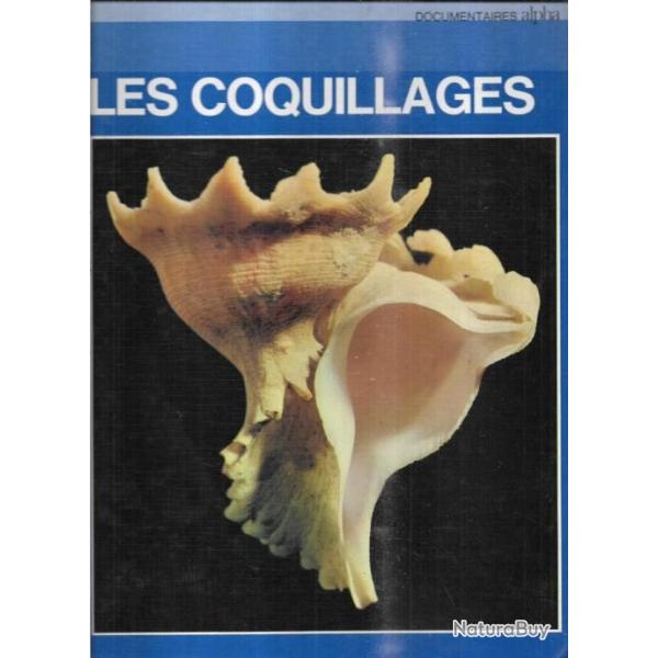les coquillages de sergio angeletti  documentaires alpha
