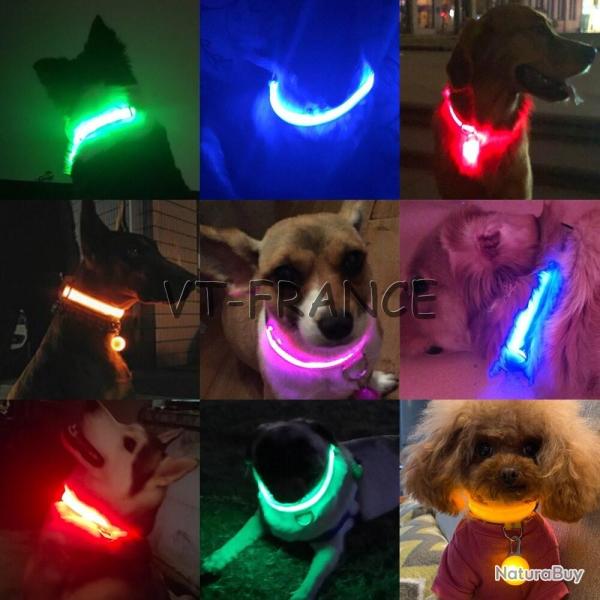 Collier LED USB pour Chiens Chiots, Couleur: Au Choix, Taille: S 34-41cm