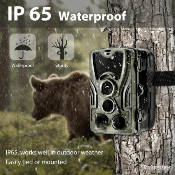 Camera de chasse Hunting Trail HC-801A,  avec filtre IR, vision nocturne, d�tection de mouvement
