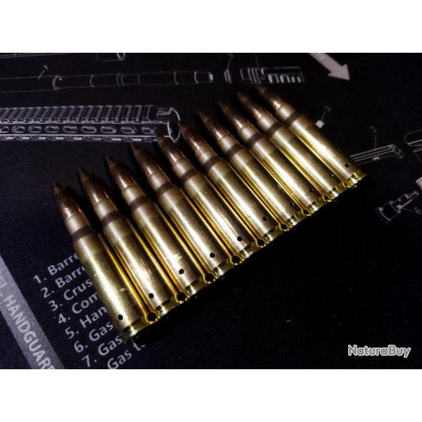 Cartouches / Munitions Neutralis�es .308 WINCHESTER (lot de 10)