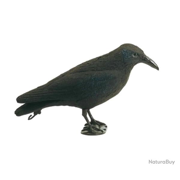 Appelant Corbeau