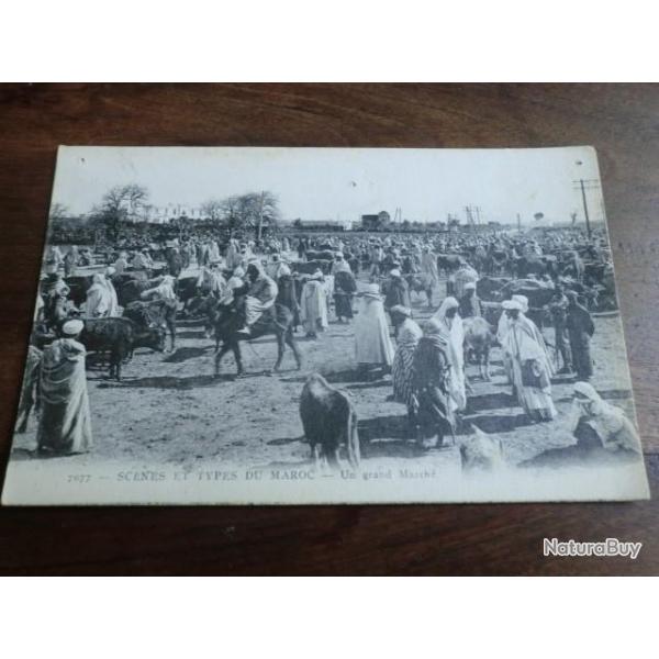 CP PAYS  MAROC  un grand march�