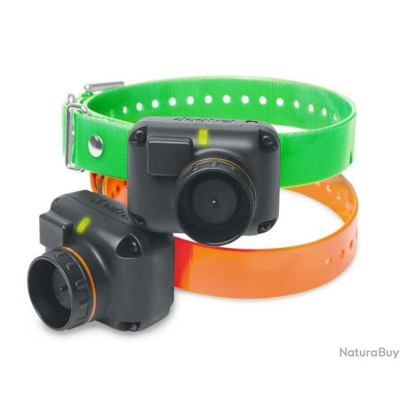 Collier suppl. dressage et rep�rage GPS Dogtra 2600T&B / 2602T&B-Vert