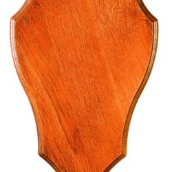 ECUSSON CHNE DORE CERF 42x28 CM