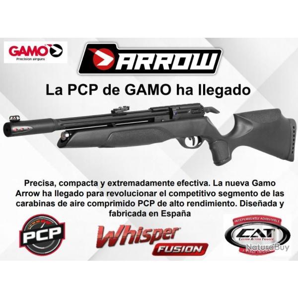Carabine � air comprim� Gamo PCP Arrow, 4,5 mm, 19,9 joules + Kit Puissance