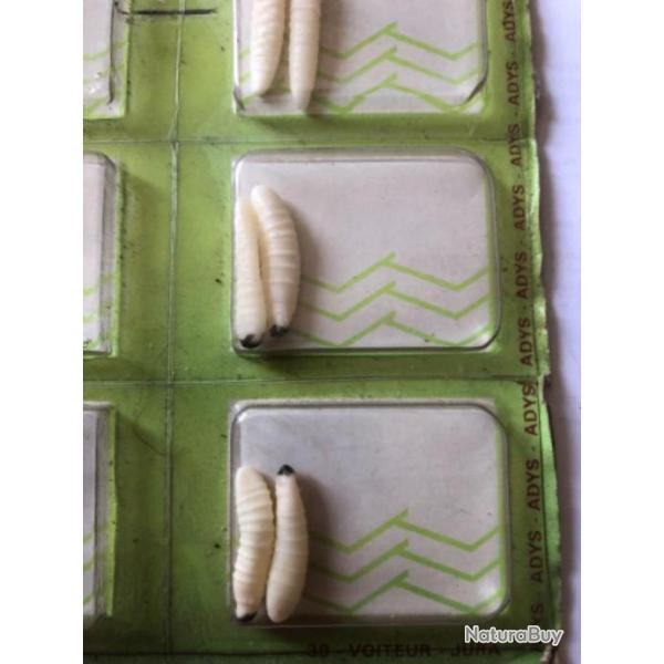 4 vers de bois imitation leurre p�che collection ancien