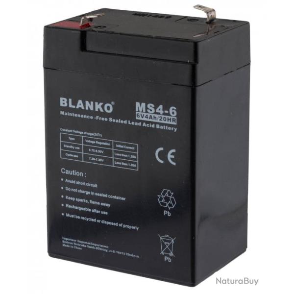 Batterie rechargeable MS4-6 6 volts
