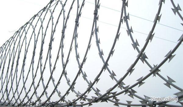 Fil de fer barbelé en métal torsadé protégeant le territoire contre les