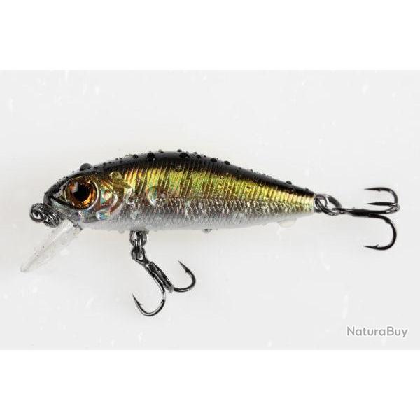 MINN SHAD 38F SR 006