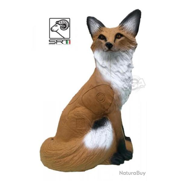 CIBLE 3D RENARD ASSIS Groupe 3 - SRT