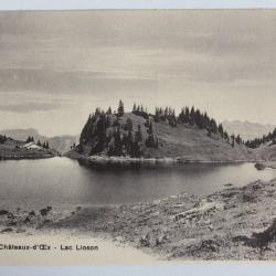 CPA Suisse Chateau d'Oex Lac Lioson