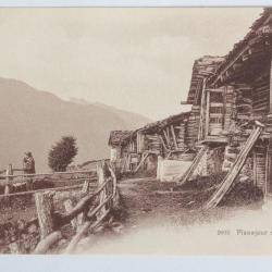 CPA Suisse Planajeur sur Salvan