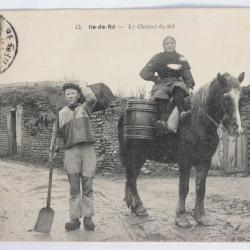 CPA Charente-Maritime Ile de Ré La Charroi du Sel