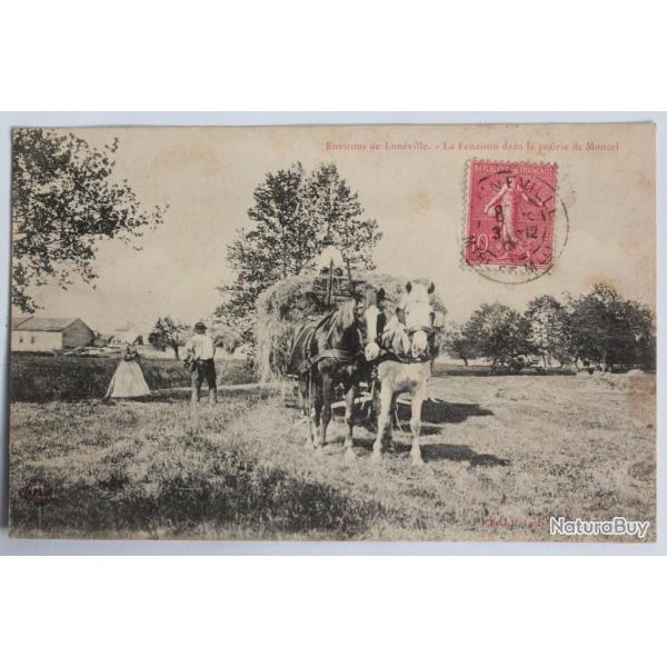 CPA Meurthe-et-Moselle Environs de Lun�ville Fenaison prairie Moncel