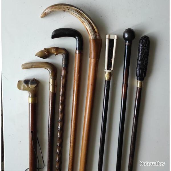 lot de cannes de collection longueur 91, 92, 93 cm tr�s bon �tat (8)au total