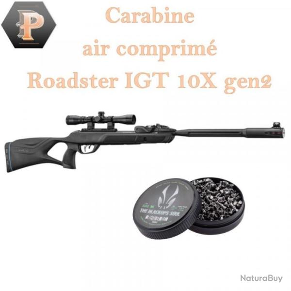 Pack Roadster IGT 10X GEN2 COMBO - GAMO + lunette 4x32WR + 500 plombs