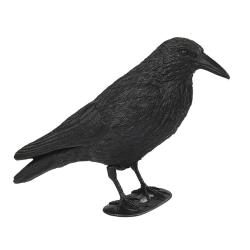 Appelant Corbeau Classique X12