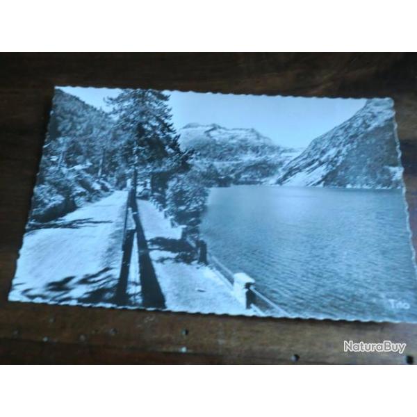 CP  Dpt  65  VALLEE D AURE  BORDS DU LAC D OREDON