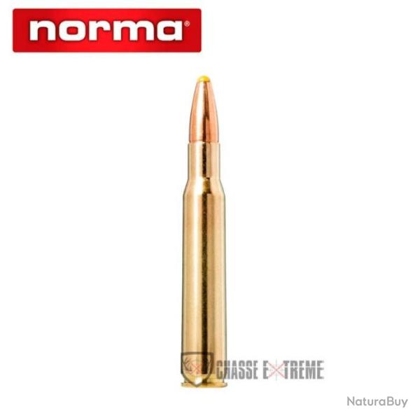20 Munitions NORMA Cal 30-06-180 Gr Pointe Plastique