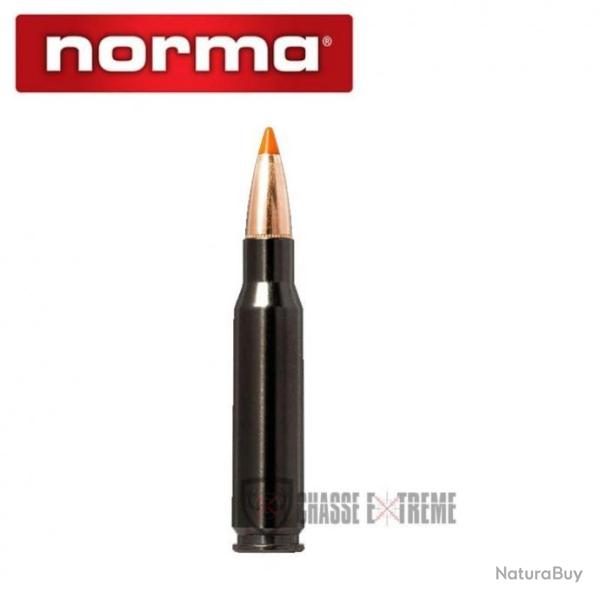 20 Munitions NORMA Ctg cal 308 Win 170gr Tipstrike Silencer