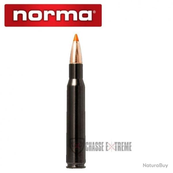 20 Munitions NORMA Ctg cal 30-06 Spr 170gr Tipstrike Silencer