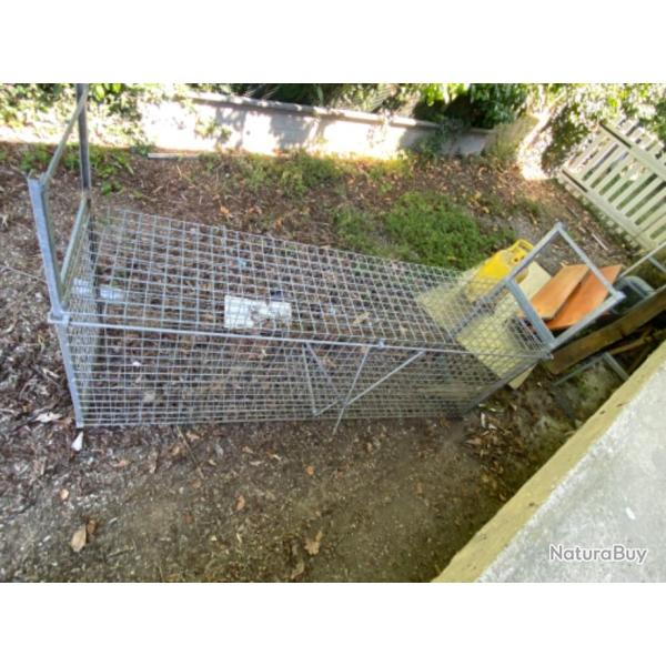 Cage pige grand modle .