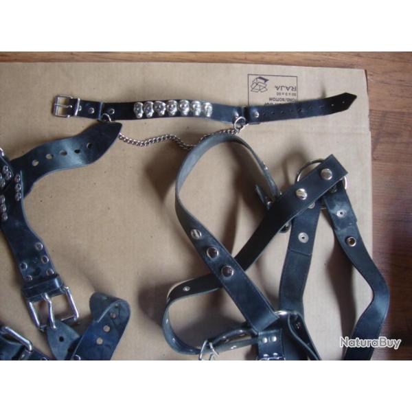 lot de cuir pour je ne sais quoi provenance police