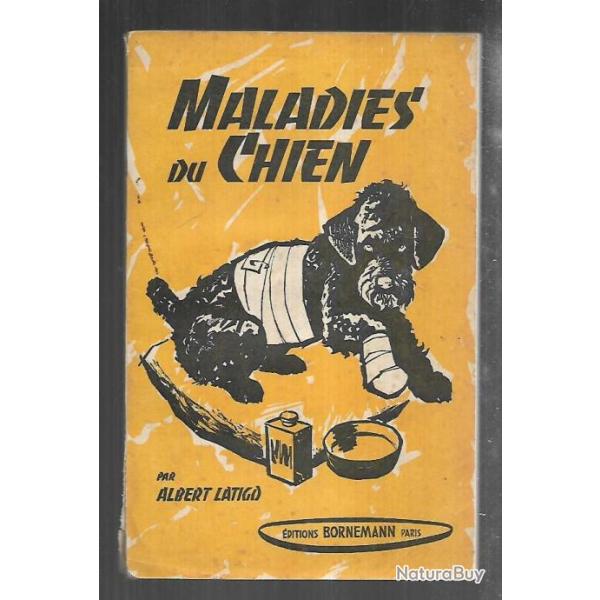 maladies du chien par albert latigo