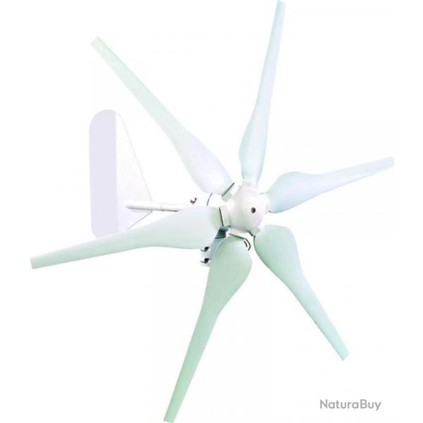 G�n�rateur � Energie �olienne pour syst�me 12 V / 300 W Eolienne Maison Electricite 6 pales