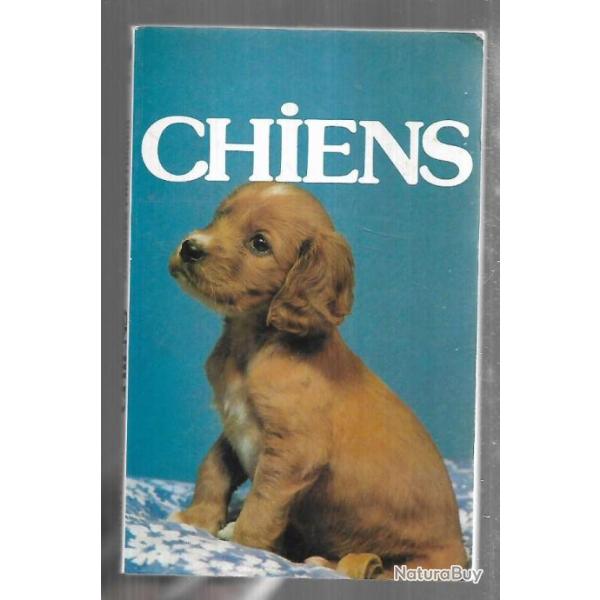 chiens de jacques freydiger superflash