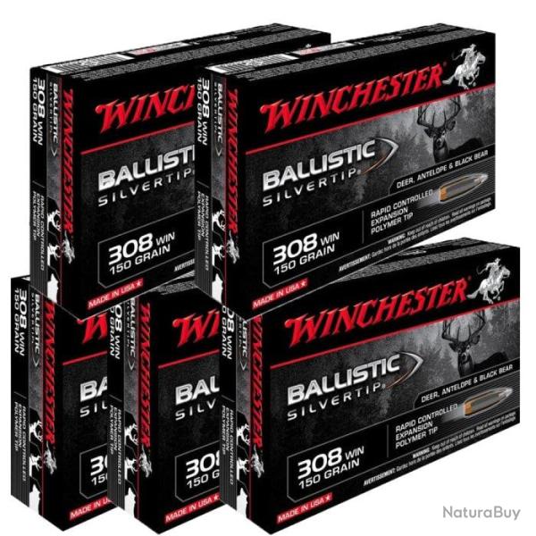 Balles Winchester Ballistic Silvertip - 308 Win MAG / 150 / Par 5