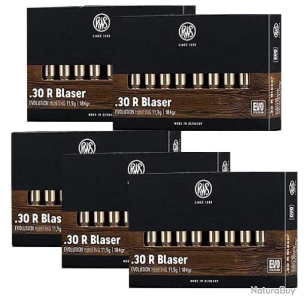 Balles RWS Evo - Cal. 30R Blaser - 30R Blaser / Par 5
