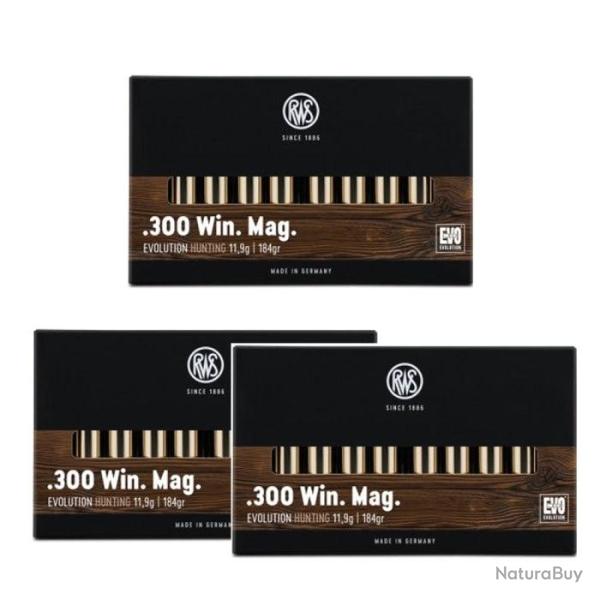 Balles RWS Evo - 300 Win MAG / Par 3