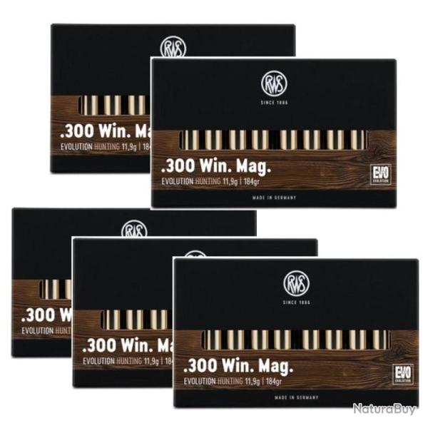 Balles RWS Evo - 300 Win MAG / Par 5