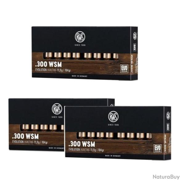 Balles RWS Evo - 300 WSM / Par 3