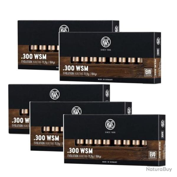 Balles RWS Evo - 300 WSM / Par 5