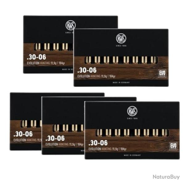 Balles RWS Evo - Cal. 30-06 Sprg - 30-06 / Par 5