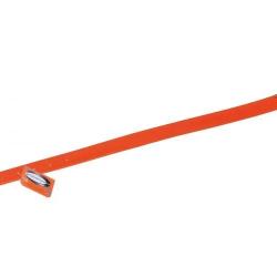 Collier Pour Chien En Biothane Biogold - Bleu