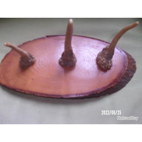 porte manteaux ou chapeaux avec andouillers de cerf
