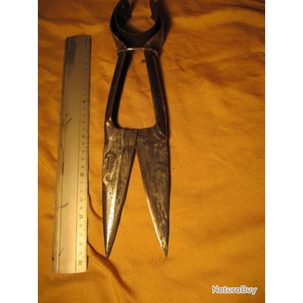 Rare et grand Ciseau de marine, model peux courant avec ressort pour l'ouverture.