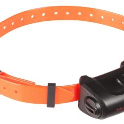 Collier Suppl&egrave;mentaire Pour Kit Canicom 5-Vert Fonc&eacute;