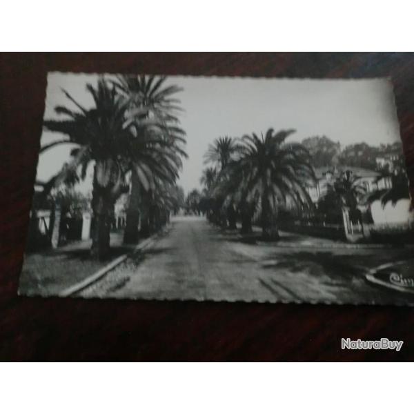 CP  dpt  83  HYERES  AV GODILLOT