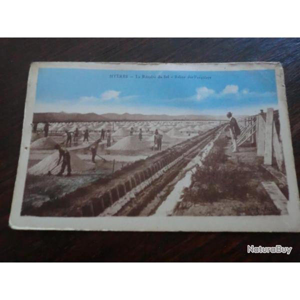 CP  dpt  83  HYERES  LA RECOLTE DU SEL