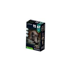 Cartouches Fusil Sauvestre BFS Sans Plomb - Par 1 / 12