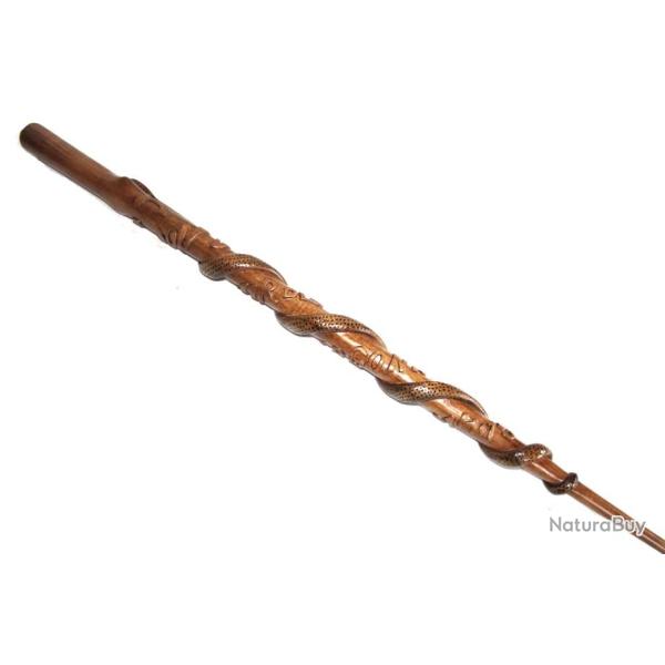 Canne de poilu Argonne 1914