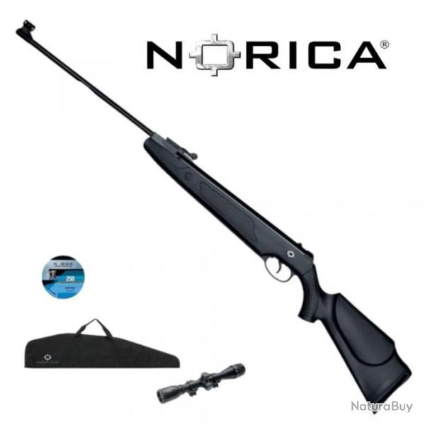 PACK CARABINE PLOMB NORICA DRAGON 4.5 NOIRE + LUNETTE 4X32 + HOUSSE + MUNITIONS (11109069)