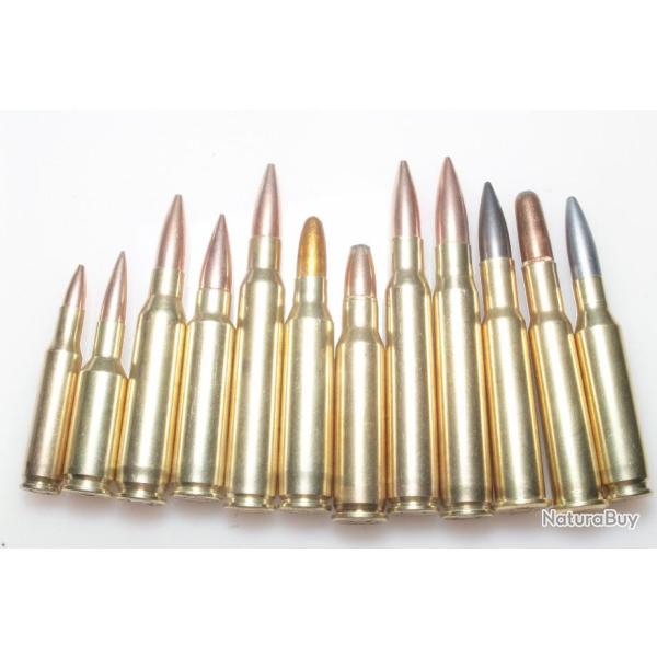 12 cartouches de collection de calibres diffrents