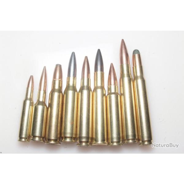 Collection  9 cartouches de gros calibres diffrents