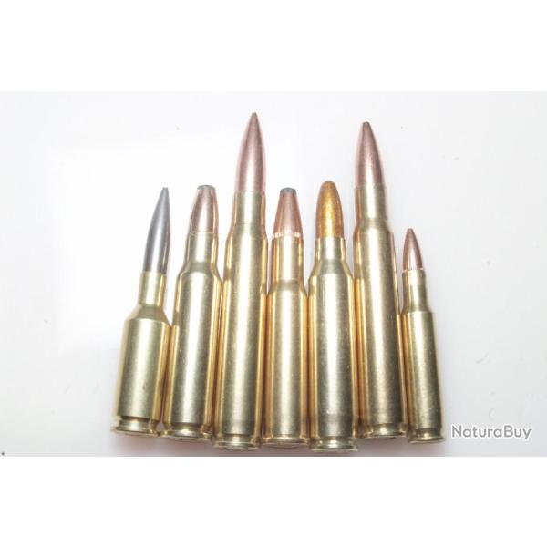 Collection   7 cartouches de gros calibres diffrents